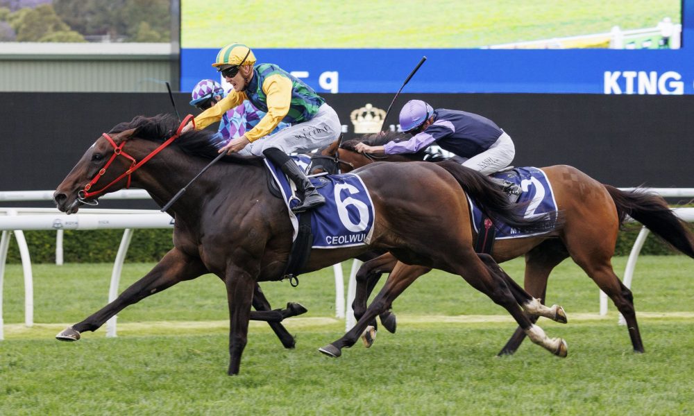 武汉女足需 武汉女足需